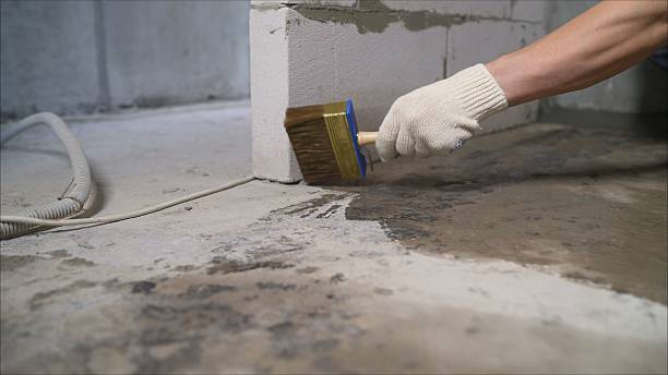 Top rated local Crawl Space Encapsulation specialists in Fairfax, VA